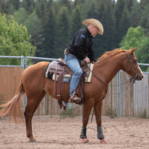 Saddles - DP Saddlery Cow Horse 8060