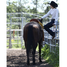 Load image into Gallery viewer, Saddles - DP Saddlery Ranch Rider 8050